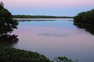 Twilight reflected in pond