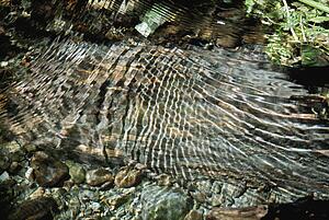 Ripples in small stream form sunlight pattern on submerged stone