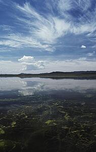 Shallow freshwater lake