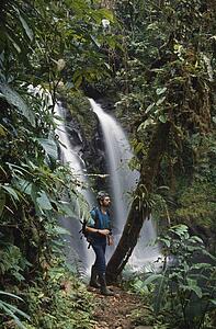 Adult male hiking in tropical rainforest with waterfall, Cordillera Central, Central America