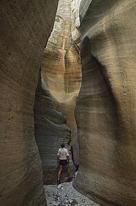 Adult male examining sandstone formation in narrow canyon, Orderville Canyon, Zion National Park, Utah, USA