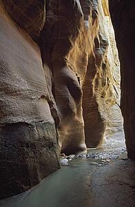 Small stream in sandstone slot canyon, Orderville Canyon, Zion National Park, Utah, USA