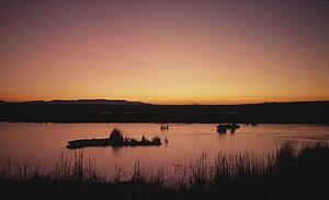 Dawn over water along the Rio Grande, Bosque del Apache National Wildlife Refuge, New Mexico, USA