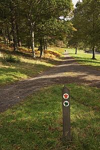 Walking trial through a park area