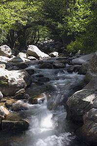 Creek water flowing over rocks, Corsica, France