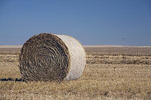 Hay bale in cut field, Alberta, Canada