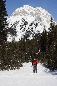 Woman cross country skiing in the mountains