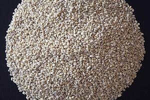 pot barley