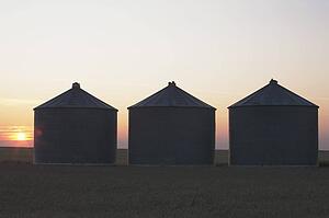 Silhouette of silos