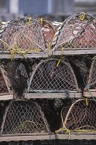 empty crab traps, st. john's, newfoundland, canada