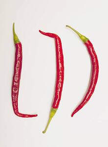 three red jalapeno peppers