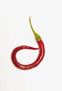 a red jalapeno pepper that has curled