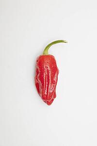 a red jalapeno pepper that looks hot with steam
