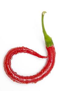 a red jalapeno pepper that has curled
