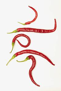 five red jalapeno peppers that have curled into unique shapes