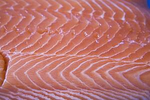 raw salmon fillet