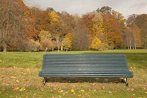 kelso, scottish borders, scotland; bench in the park in autumn