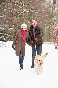 Senior Couple Walking Dog Through Snowy Woodland