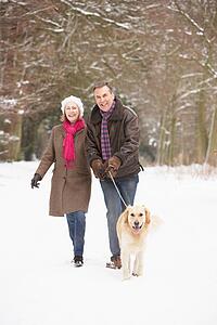 Senior Couple Walking Dog Through Snowy Woodland