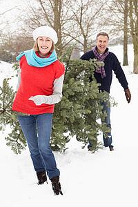 Senior Couple Carrying Christmas Tree In Snowy Landscape