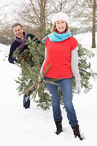 Senior Couple Carrying Christmas Tree In Snowy Landscape