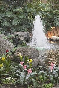 calgary, alberta, canada; devonian gardens in downtown calgary