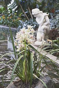 calgary, alberta, canada; a statue by a pond in devonian gardens in downtown calgary