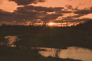 alberta, canada; silhouette of trees along the elbow river at sunset