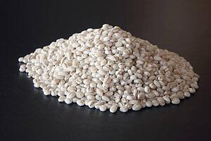 pile of pearl barley