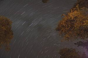 jasper national park, alberta, canada; star trails at night