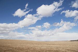 alberta, canada; wheat field and clouds