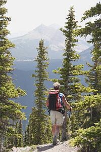 kananaskis country, alberta, canada; a male hiker walking down a trail at nahahi ridge