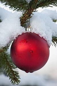 red ball ornament hanging from a snowy tree branch