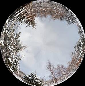 a ball reflecting a forest around it's edges