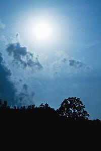 the sun shining through the clouds above the jungle