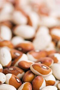 yellow eye beans