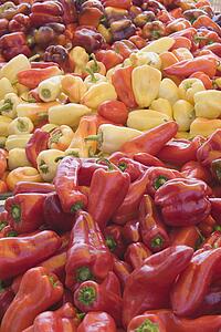 assorted colors of peppers