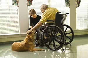 Man in wheelchair with dog