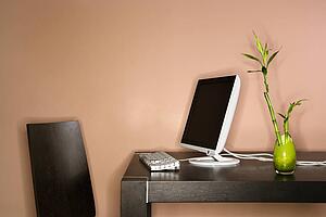 Computer on Table with Bamboo Plant
