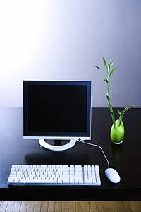 Computer Monitor and Lucky Bamboo