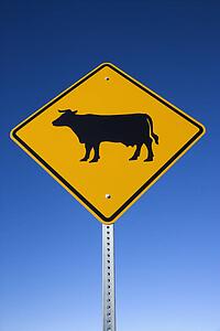 'Cattle on Road' Sign