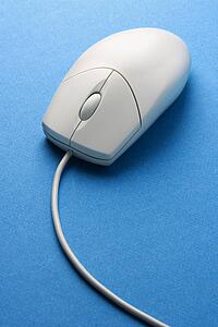 Computer Mouse
