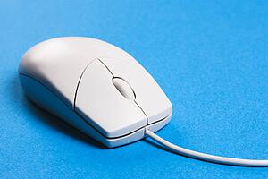 Computer Mouse