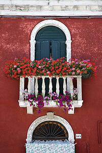 Arched Window with Balcony and Flowers