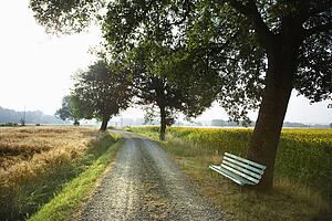 Bench and Gravel Road in the Country
