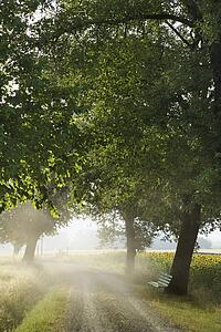 Bench and Gravel Road in the Country