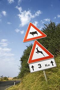 Signs on a Rural Road in Italy