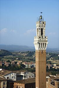 Bell Tower and Buildings in Siena