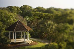 Gazebo in Park