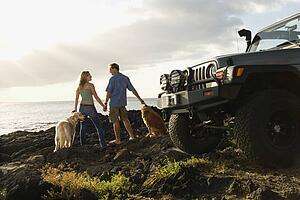 Couple and Dogs at the Beach